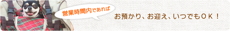 営業時間内であれば、お預かり、お迎え、いつでもOK!