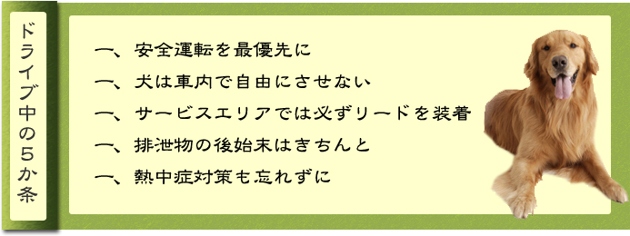 ドライブ中の5カ条