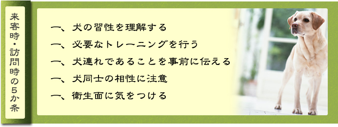 来客時・訪問時の5カ条