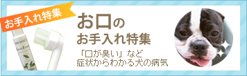 お口のお手入れ特集