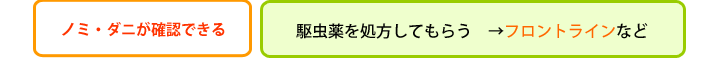 ノミ・ダニが確認できる