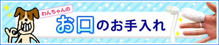 お口のお手入れ