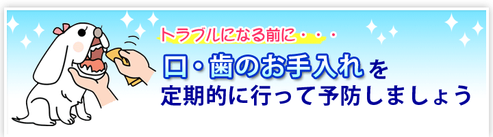 口・歯のお手入れを定期的に行って予防しましょう