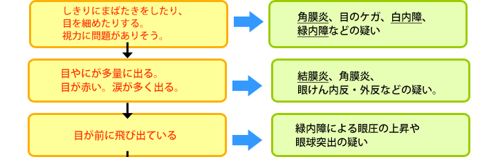 角膜炎、白内障、緑内障、結膜炎、角膜炎