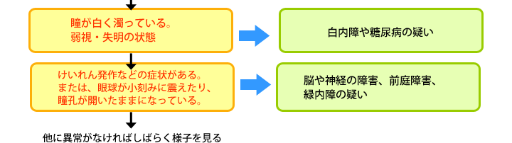 白内障、糖尿病