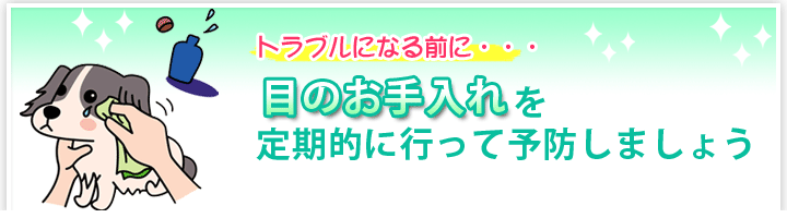 目のお手入れを定期的に行って予防しましょう