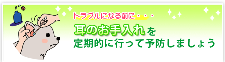 耳のお手入れを定期的に行って予防しましょう