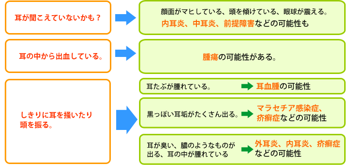 内耳炎、中耳炎、前提障害、腫瘍