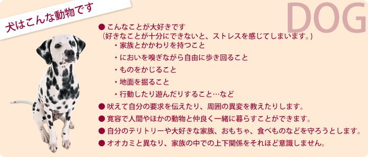 犬はこんな動物です