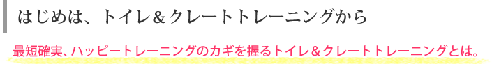 ほめるしつけハッピートレーニングのポイント