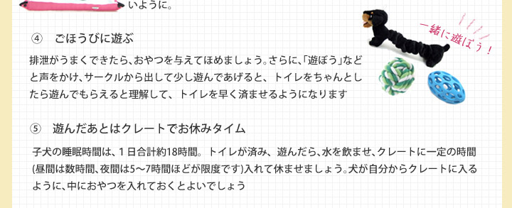 イレ＆クレート トレーニング5つのステップ