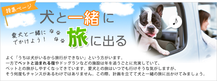 犬と一緒に旅に出る